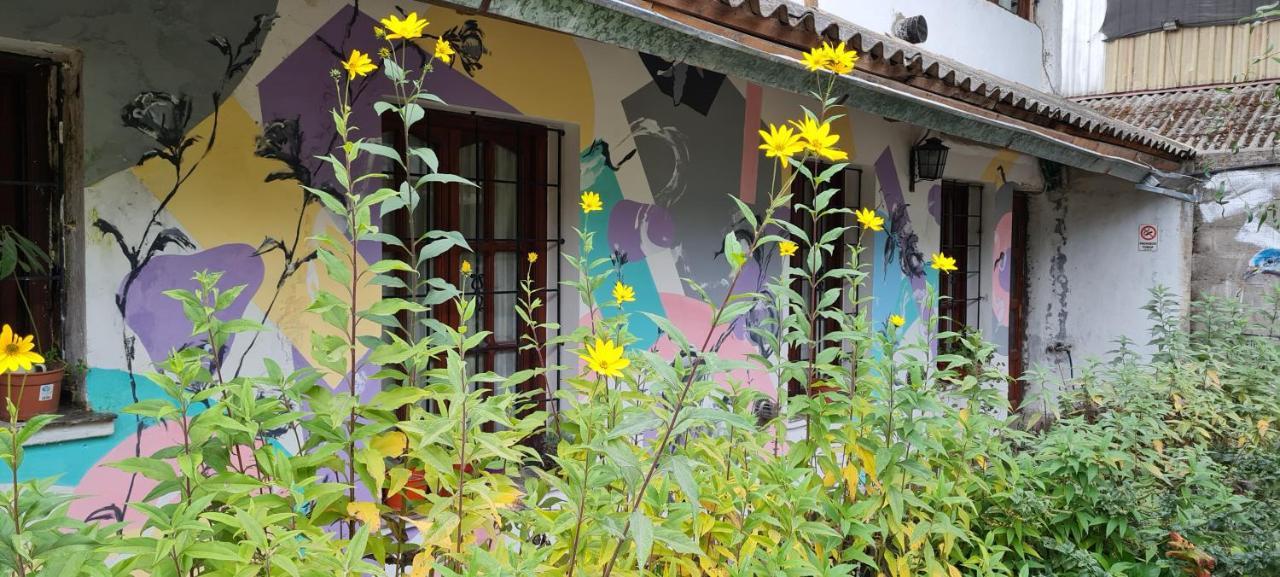 La Casa Del Arbol - Hostel El Bolsón Εξωτερικό φωτογραφία
