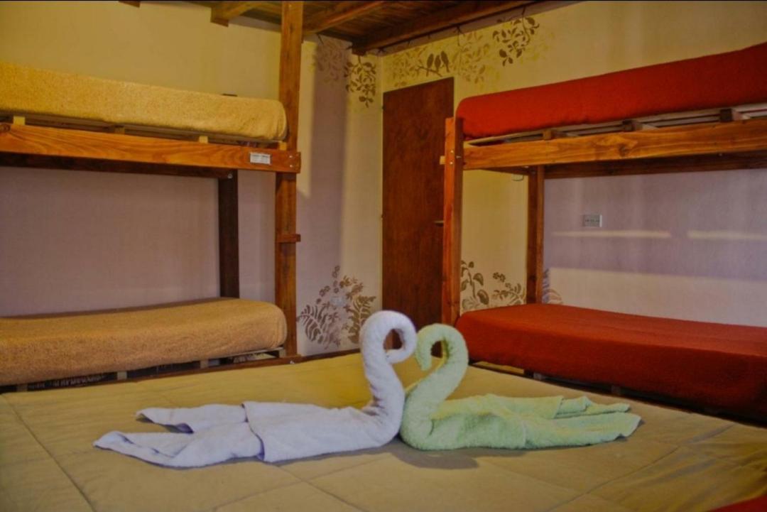 La Casa Del Arbol - Hostel El Bolsón Εξωτερικό φωτογραφία